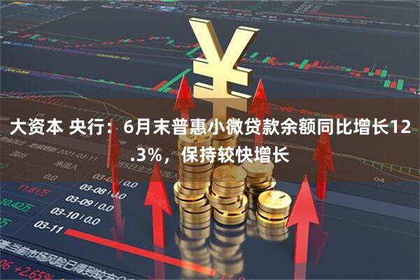 大资本 央行：6月末普惠小微贷款余额同比增长12.3%，保持较快增长