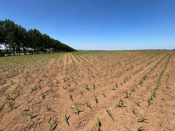 括普投资 世界耕地最多的四个国家，你知道有哪些吗？